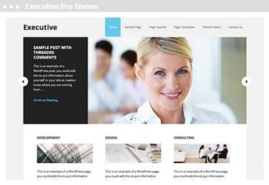 website ontwerp Executive Pro Thema