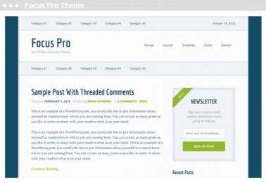 Focus Pro Thema voor WordPress bloggers