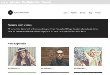 WordPress webdesign : Modern Portfolio Pro Theme