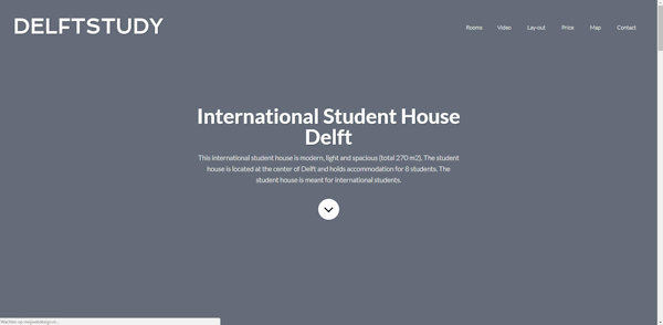 website delftstudy gemaakt door meijwebdesign