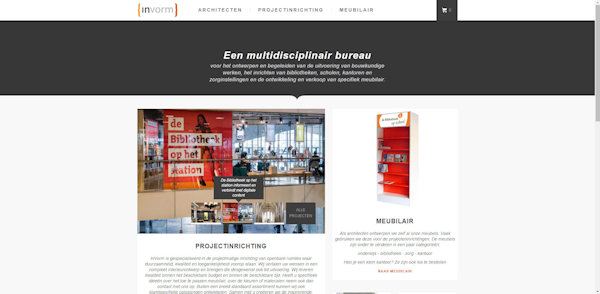 website invorm aangepast door meij webdesign
