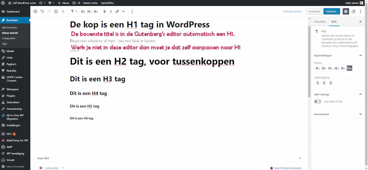 Titel va je bericht als H1 markeren
