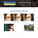 webdesigner portfolio blog wordpress website